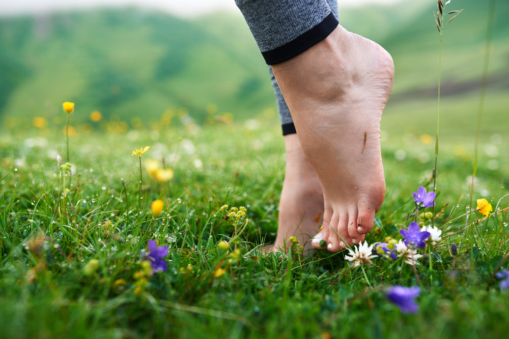 Bare feet walking through dew-covered grass and wildflowers, symbolizing grounding, mindfulness, and the healing power of reconnecting with nature.
